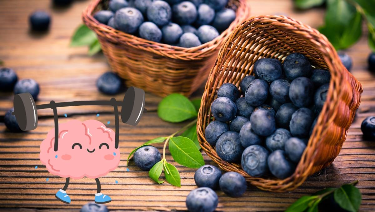 La fruta que si consumes todos los días favorecerá a tu cerebro